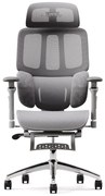 Scaun ergonomic MUSSO H80 PRO, șezut translatabil, cotiere 6D, suport lombar dinamic, spătar reglabil înălțime, tetieră 3D, suport picioare, mecanism multifunctional inclinare/blocare, pivotant, Mesh, Gri