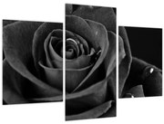 Tablou - Trandafir roșu aprins (90x60 cm)