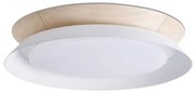 Lustra / Plafoniera LED design modern 45cm TENDER alba