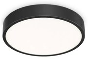Plafoniera LED pentru baie IP44 Ray pl d40 negru