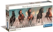 Puzzle Horses - Compilation