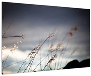 Tablou -Flori de luncă (90x60 cm)