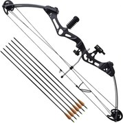 vidaXL Arc compus pentru adulți cu accesorii și săgeți din fibră de sticlă