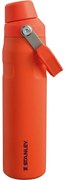 Sticlă de apă Stanley Aerolight IceFlow Fast Flow 600 ml Tigerlily