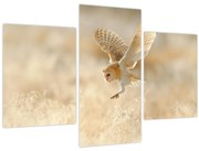 Tablou - Bufniță (90x60 cm)