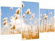 Tablou - Câmp de aur (90x60 cm)