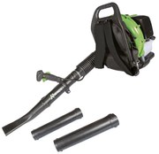 Suflanta pentru frunze RIBIMEX, 15000 wati