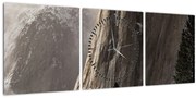 Tablou din valea Yosemite parcul național, SUA (cu ceas) (90x30 cm)