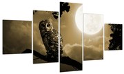 Tablou cu bufnița nocturnă (125x70 cm), în 40 de alte dimensiuni noi