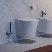 Perie WC Omnires Modern Project antracit si sticla mata