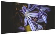 Tablou - Lila (120x50 cm)