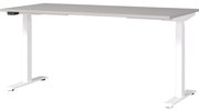Birou cu înălțime ajustabilă electric 80x160 cm Jet – Germania