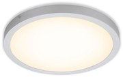 Plafonieră LED FIRE LED/24,5W/230V 3000K Briloner 7143-014