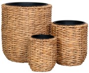 Ghiveci Hanoi din răchită, jacint de apă, natural, set de 3