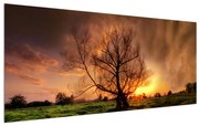 Tablou cu copac în natură (120x50 cm), în 40 de alte dimensiuni noi