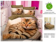 Lenjerie De Pat Finet Premium - Pisica