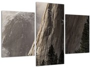 Tablou din valea Yosemite parcul național, SUA (90x60 cm)