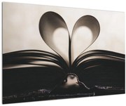 Tablou cu carte (90x60 cm)