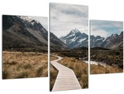 Tablou - Poteca în valea muntelui Mt. Cook (90x60 cm)