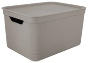 Cutie de depozitare din plastic cu capac Deco - Rotho