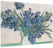 Tablou - Vincent van Gogh, Irises, reproducere (70x50 cm)