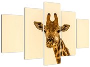 Tablou cu girafe (150x105 cm)