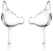 Irigator din sticlă pentru udarea plantelor PTAK - 2 bucăți în set