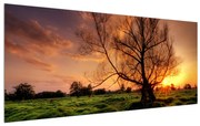 Tablou cu pom în natura verde (120x50 cm), în 40 de alte dimensiuni noi