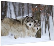 Tablou - Lupii în timpul iernii (90x60 cm)