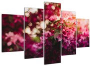 Tablou cu florile tufișului înflorit (150x105 cm)