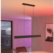 Lustră LED RGBW dimabilă pe cablu Eglo 31433 ANDREAS-Z LED/38W/230V negru