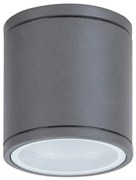 Plafoniera, spot pentru iluminat exterior cu protectie IP44 antracit Akron 8150 RX