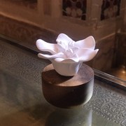 Difuzor de design cu motiv de iasomie albă - ANOQ