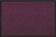 vidaXL Covoraș de intrare Bordo 60 x 40 x 1.2 cm Țesătură Teddy