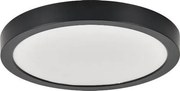 Rabalux 75076 - Plafonieră LED pentru baie SHAUN PLUS, 30W/230V, Ø 30 cm, IP44, negru