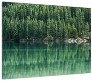 Tablou - Coniferi lângă lac (70x50 cm)