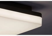 Rabalux 7250 - Plafonieră LED pentru baie PERNIK LED/24W/230V IP54