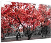 Tablou - Copacii roșii, Central Park, New York (90x60 cm)