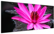 Tablou - floarea roz (120x50 cm)
