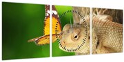 Tablou - Șopârlă (cu ceas) (90x30 cm)
