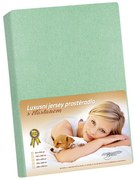 Cearceaf jersey cu elastan, verde, 120 x 200 cm