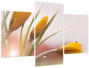 Tablou - Flori de primăvară (90x60 cm)