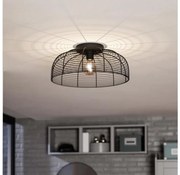 Plafonieră Eglo 43896 RINROE 1xE27/40W/230V negru