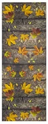 Covor Universal Sprinty Autunno, 52 x 100 cm