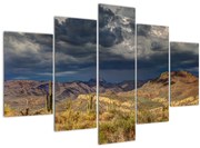 Tablou - cactușii în natură (150x105 cm)