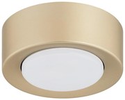 Argon 8903 - Plafonieră ELORA 1xGX53/7W/230V Ø 11 cm aurie