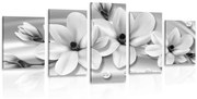 Tablou 5-piese magnolie de lux cu perle în design alb-negru