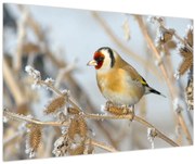 Tablou - Ciredeaua (90x60 cm)