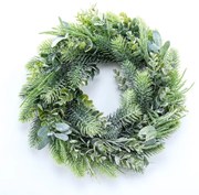 Coroniţă cu brumă