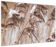 Tablou - Tei (90x60 cm)